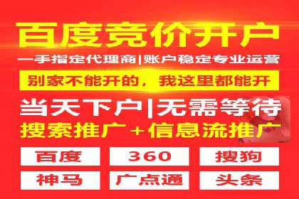 汽车行业SEM运营托管的典型案例分析